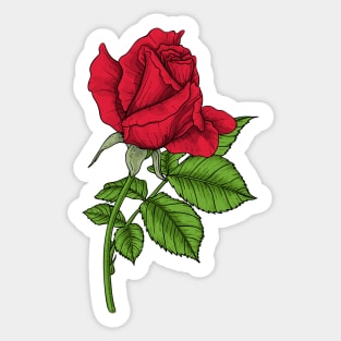 Red rose Sticker